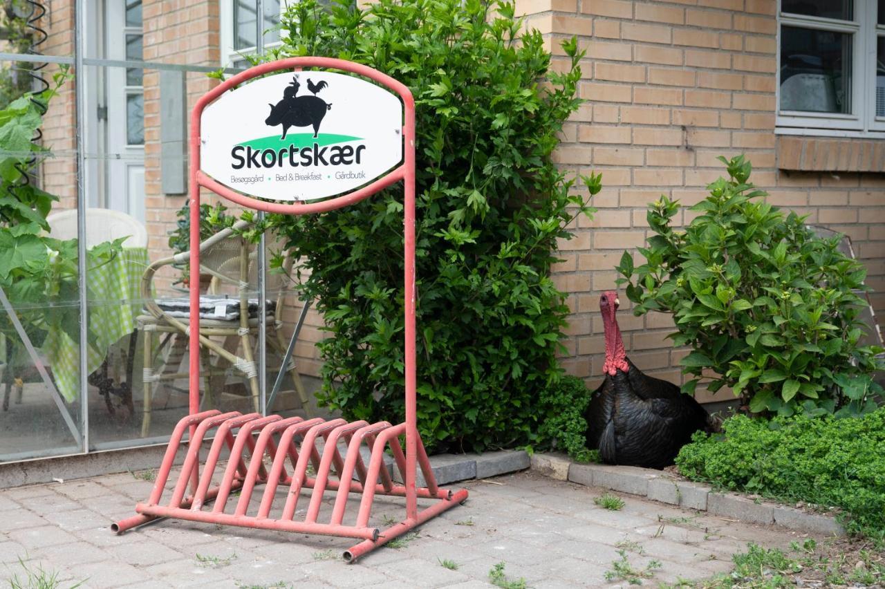 Skortskaer Bondegardsferie Acomodação com café da manhã Havnsø Exterior foto