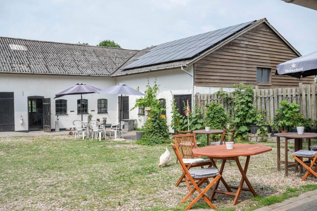 Skortskaer Bondegardsferie Acomodação com café da manhã Havnsø Exterior foto