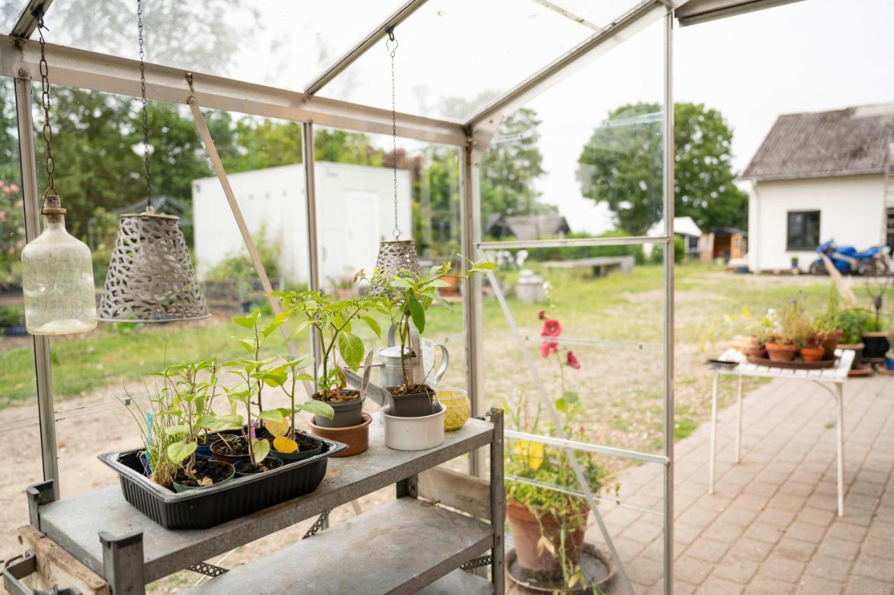 Skortskaer Bondegardsferie Acomodação com café da manhã Havnsø Exterior foto