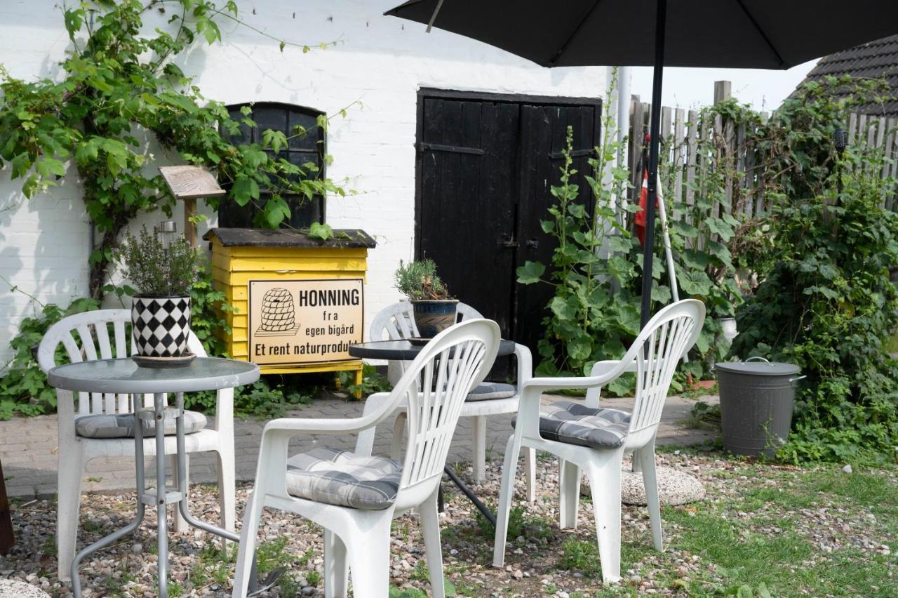 Skortskaer Bondegardsferie Acomodação com café da manhã Havnsø Exterior foto