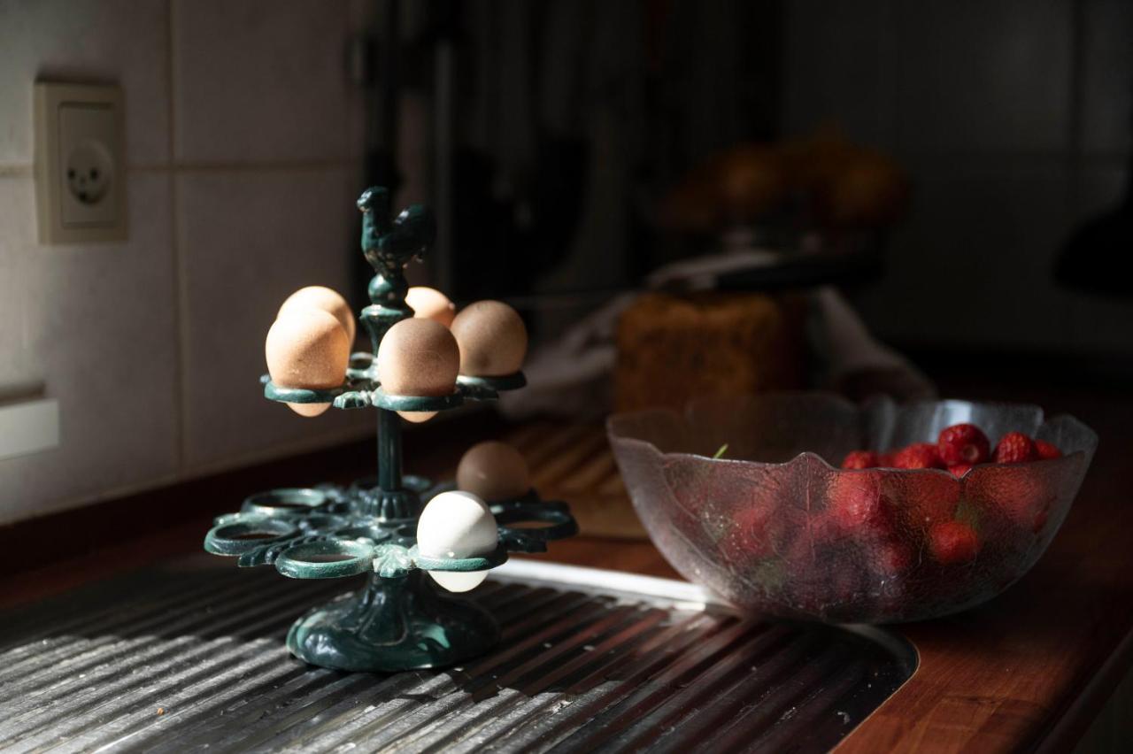 Skortskaer Bondegardsferie Acomodação com café da manhã Havnsø Exterior foto